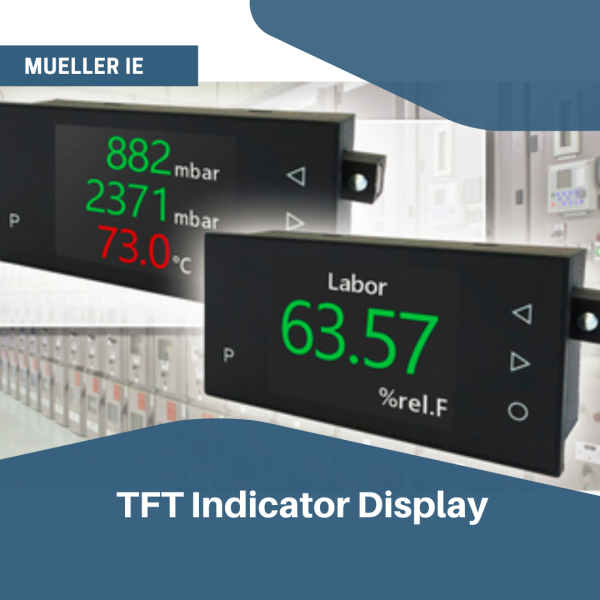 MuellerIE TFT digital display, universal indicator for common sensors
