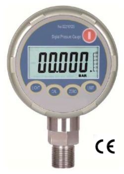 digital pressure gauge dtg100